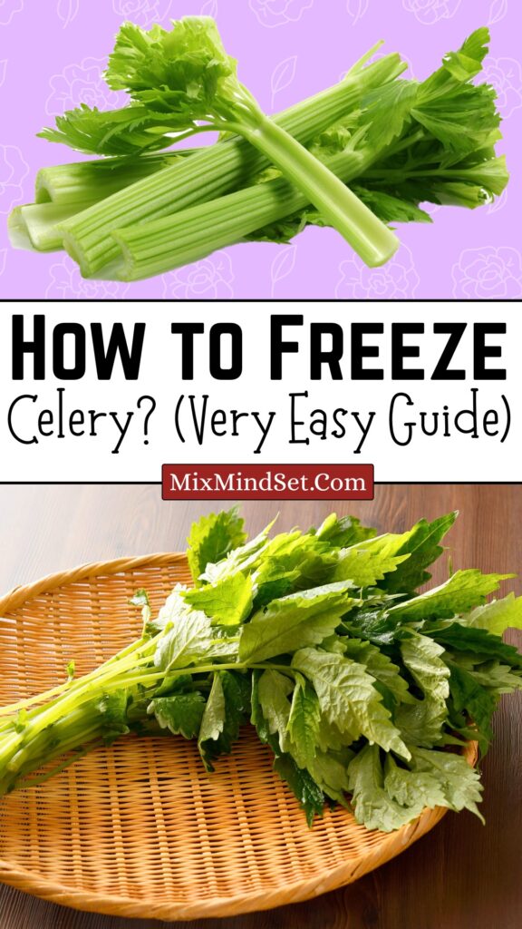 How to Freeze Celery?