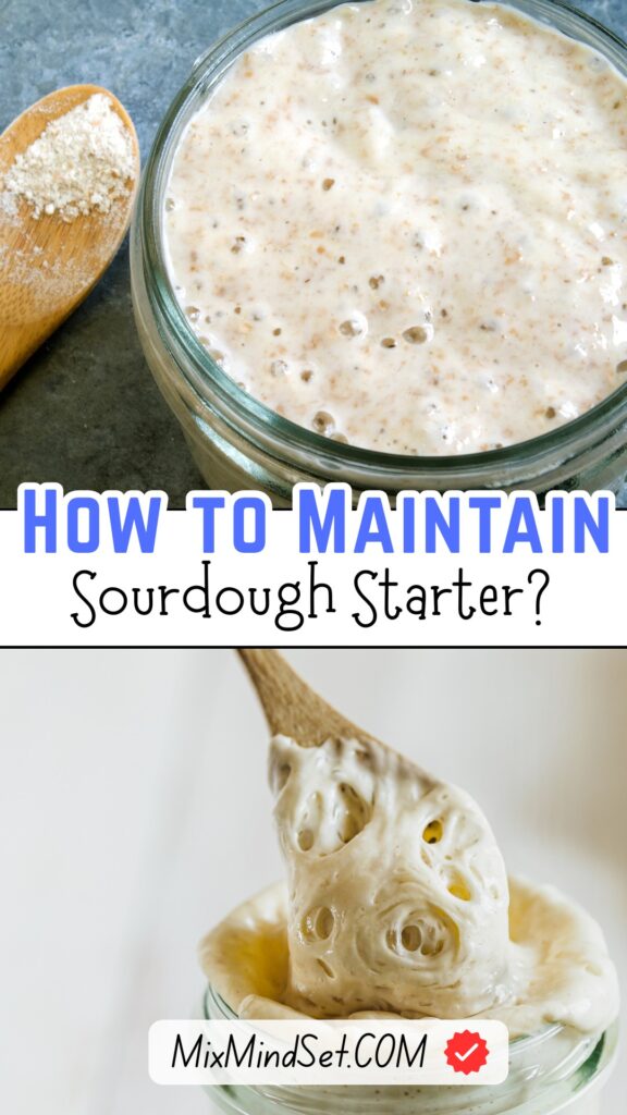 How to Maintain Sourdough Starter?