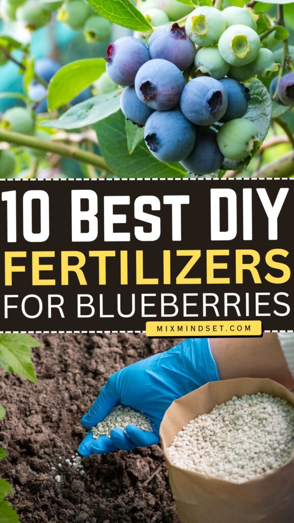 10 Best DIY Fertilizers for Blueberries