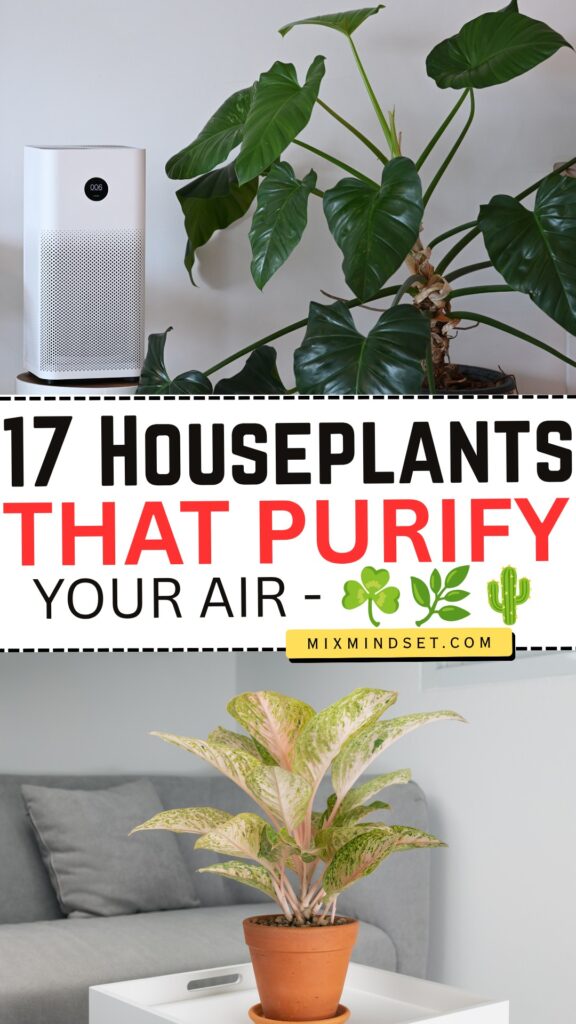 17 Houseplants That Purify Your Air