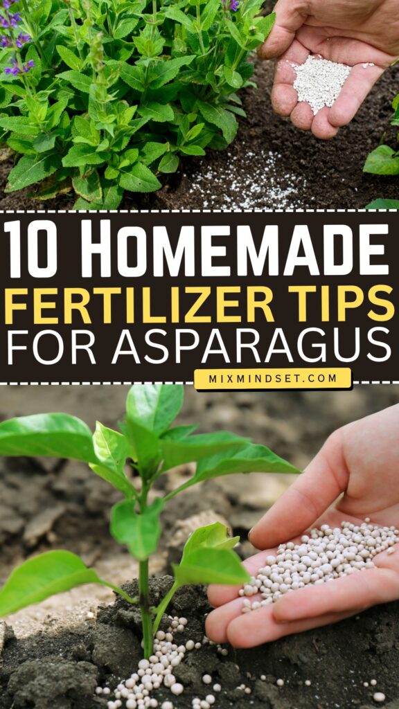 10 Homemade Fertilizer Tips for Asparagus