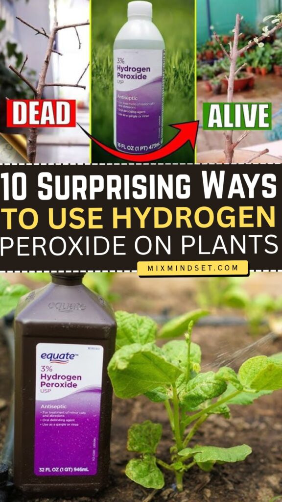 10 Surprising Ways to Use Hydrogen Peroxide on Plants