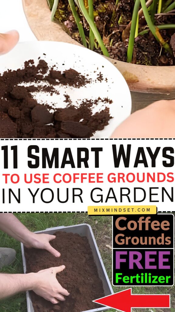 11 Smart Ways to Use Coffee Grounds in Your Garden