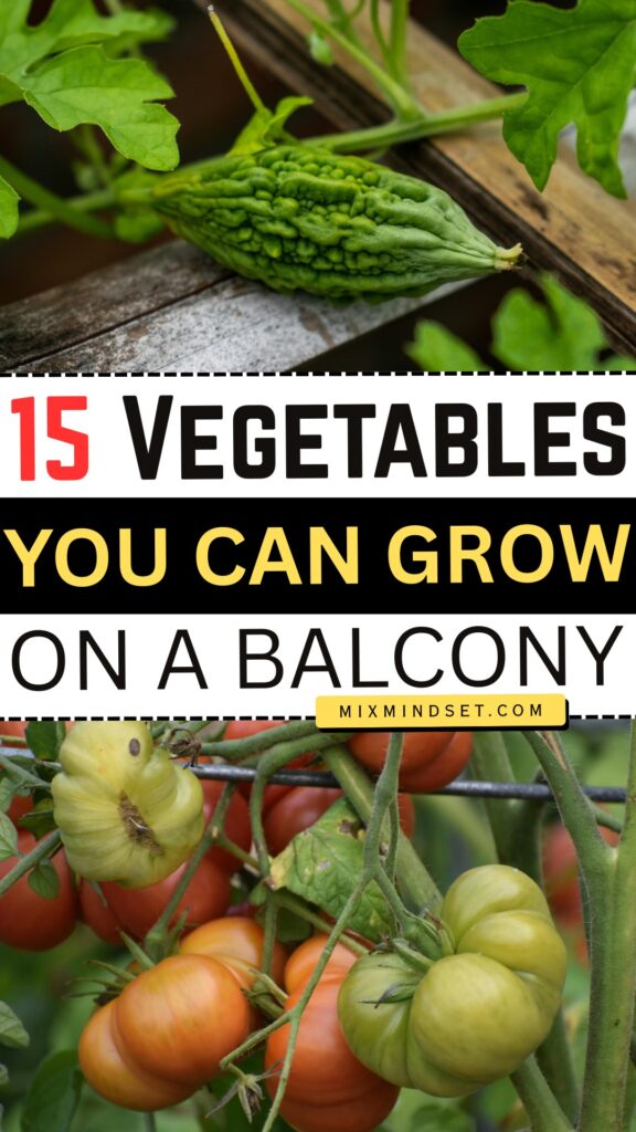 15 Vegetables You Can Grow on a Balcony or Patio