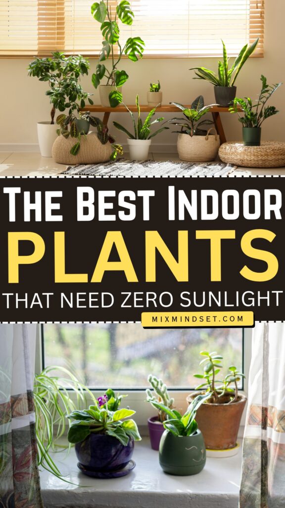 Best Indoor Plants That Need Zero Sunlight