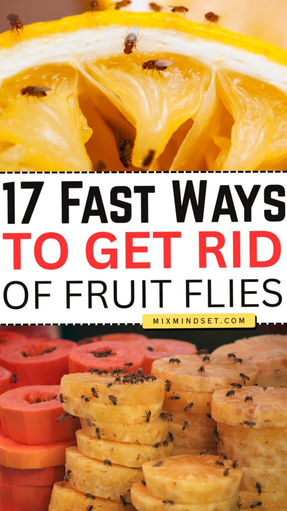 17 Fast Ways to Get Rid of Fruit Flies
