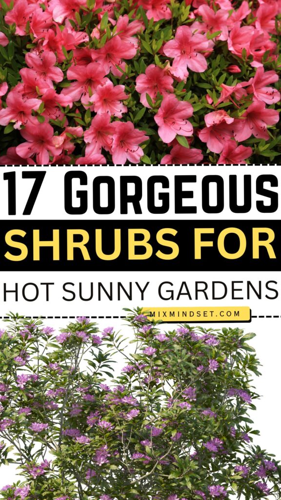 17 Gorgeous Shrubs for Hot Sunny Gardens