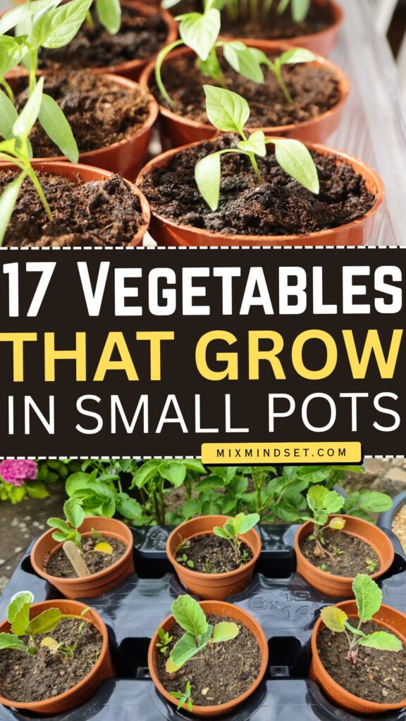 17 Vegetables That Grow Great in Small Pots