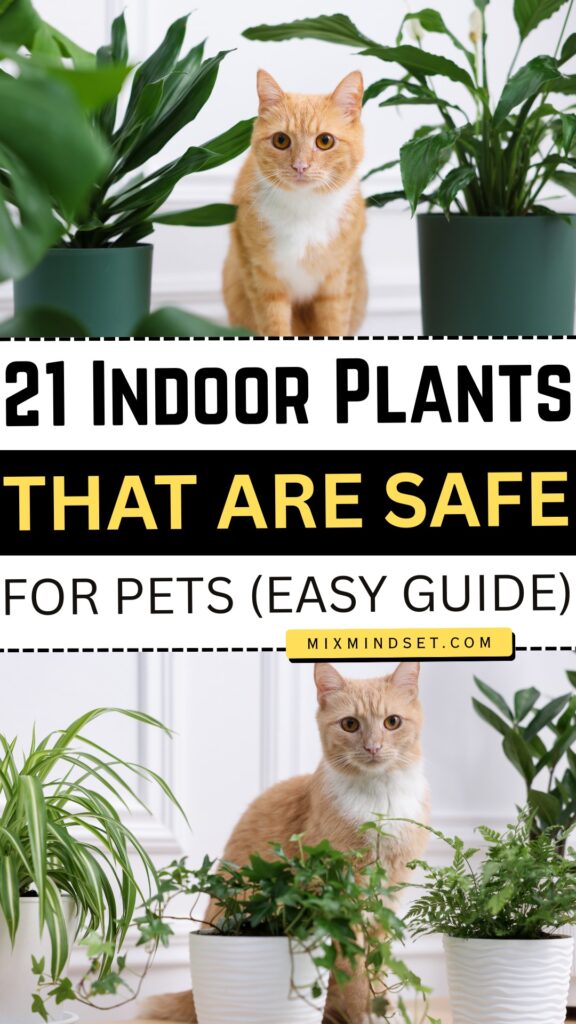 21 Indoor Plants That Are Safe for Pets