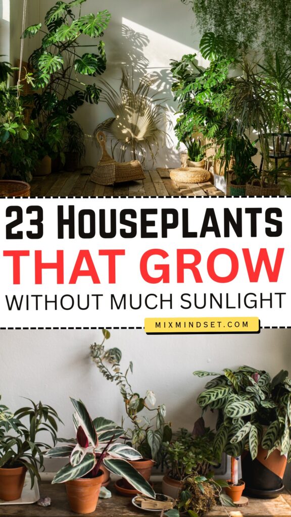 23 Houseplants That Grow Without Much Sunlight