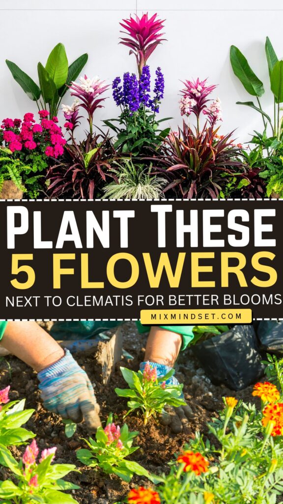 Plant These 5 Flowers Next to Clematis for Better Blooms