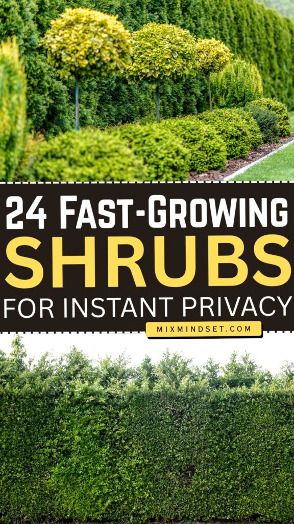 24 Fast-Growing Shrubs for Instant Privacy