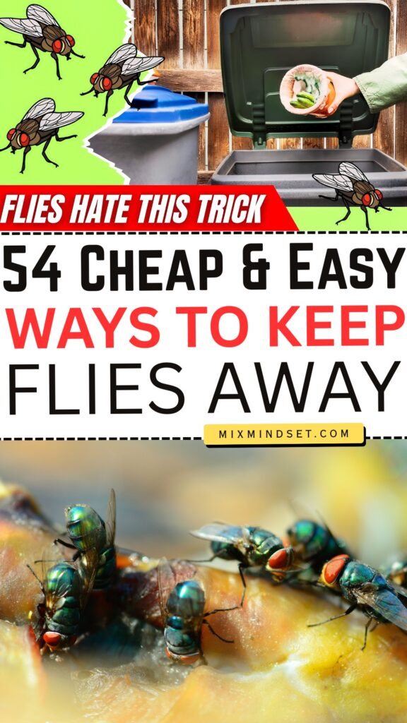 54 Cheap and Easy Ways to Keep Flies Away