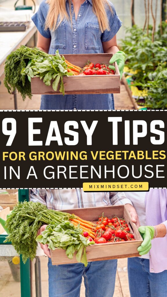 9 Easy Tips for Growing Vegetables in a Greenhouse