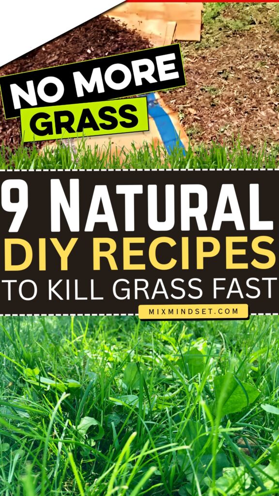9 Natural DIY Recipes to Kill Grass Fast