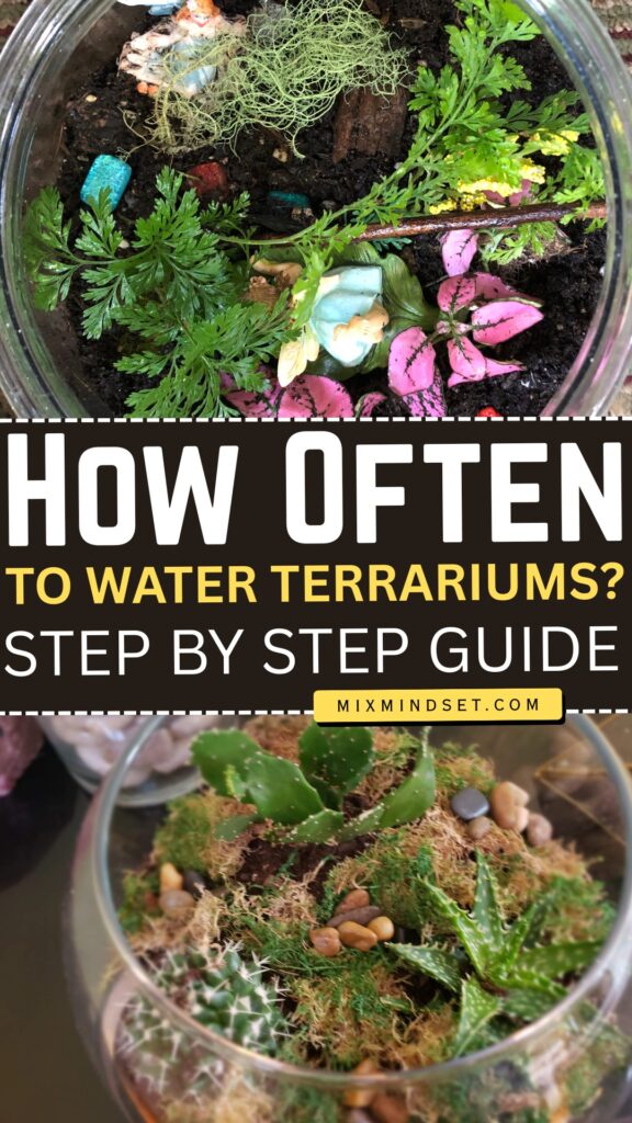 How Often to Water Terrariums?