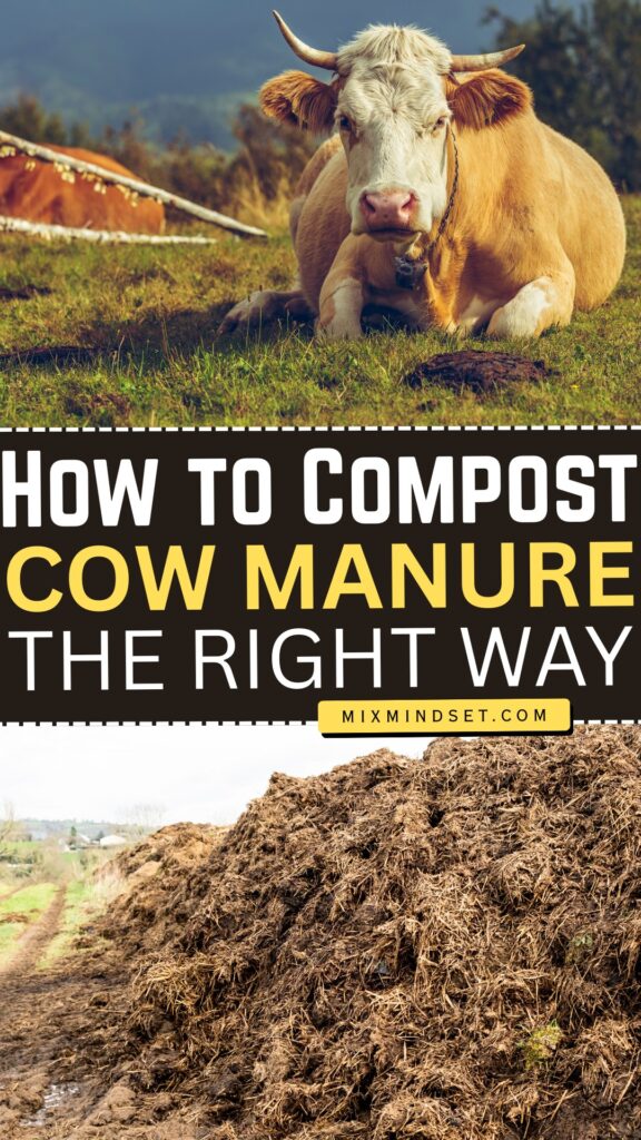 How to Compost Cow Manure the Right Way