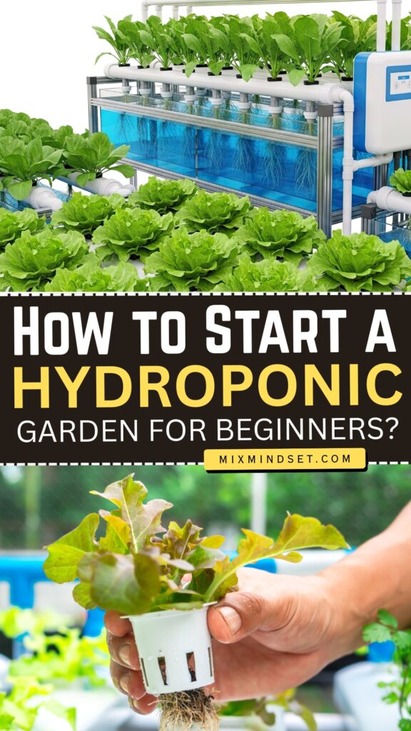 How to Start a Hydroponic Garden for Beginners?