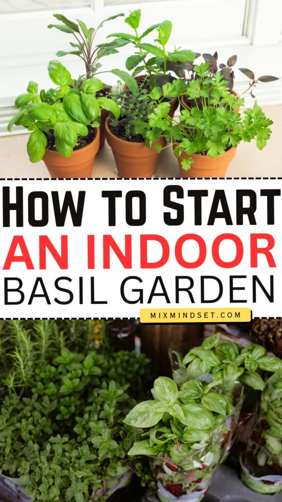 How to Start an Indoor Basil Garden