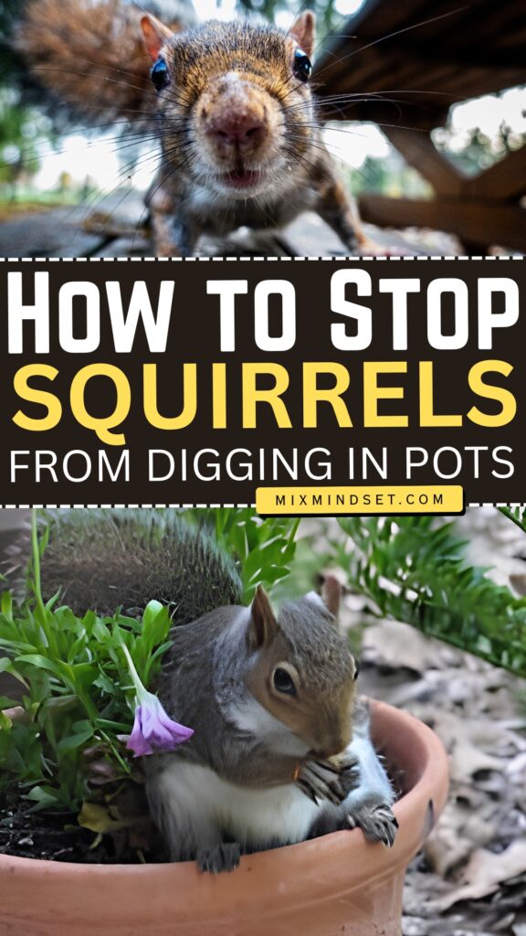 How to Stop Squirrels from Digging in Pots
