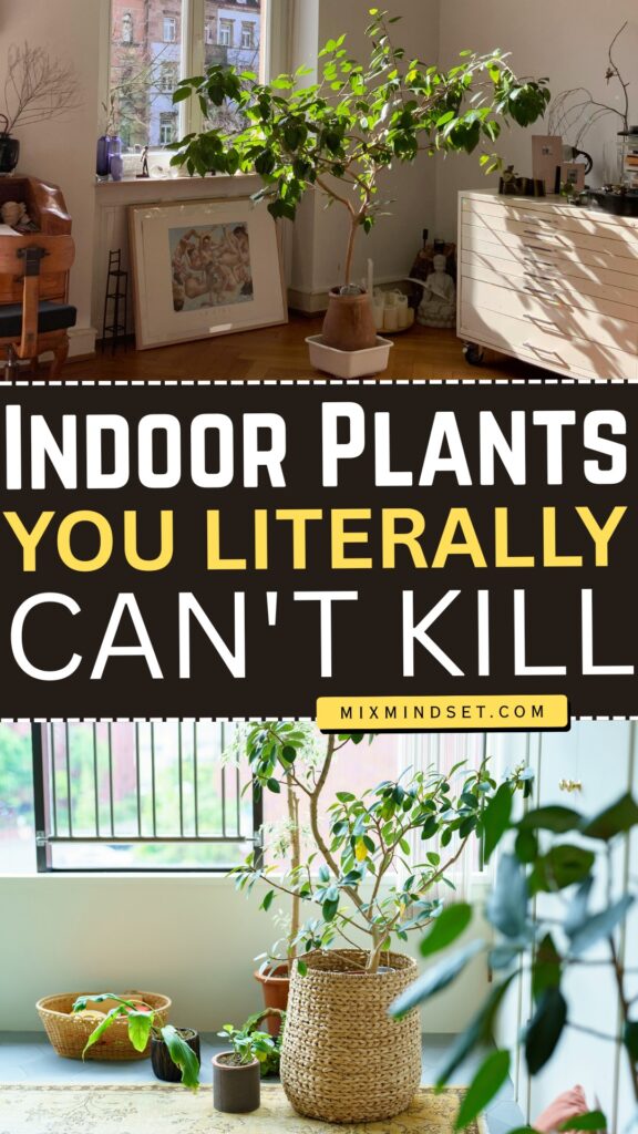 Indoor Plants You Literally Can’t Kill