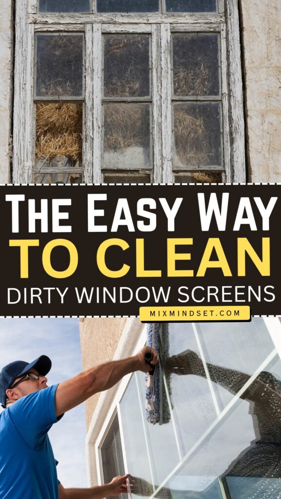 The Easy Way to Clean Dirty Window Screens