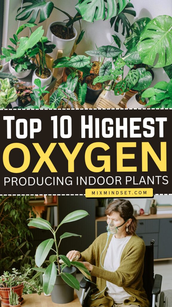 Top 10 Highest Oxygen-Producing Indoor Plants