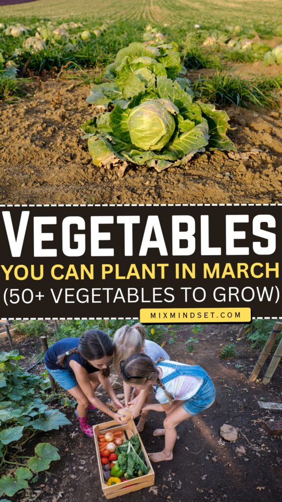 Vegetables You Can Plant in March (50+ Vegetables To Grow)