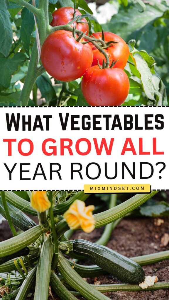 What Vegetables to Grow All Year Round 