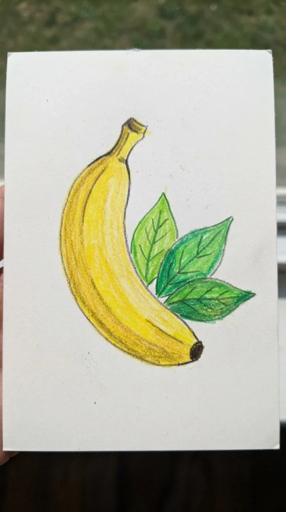 31+ Fruit Drawing Pencil Sketches