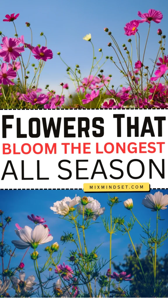 Flowers That Bloom the Longest All Season