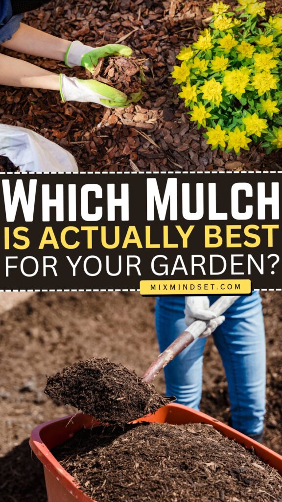 Which Mulch Is Actually Best for Your Garden?
