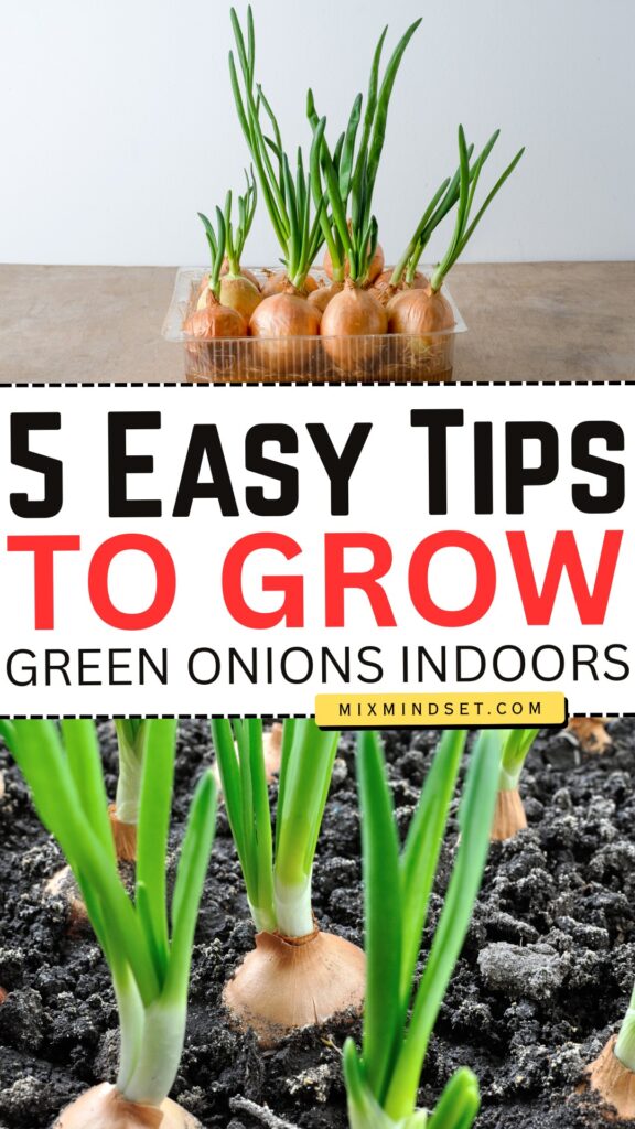 5 Easy Tips to Grow Green Onions Indoors
