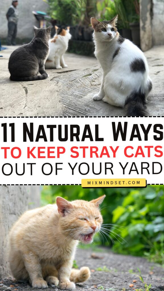 11 Natural Ways to Keep Stray Cats Out of Your Yard