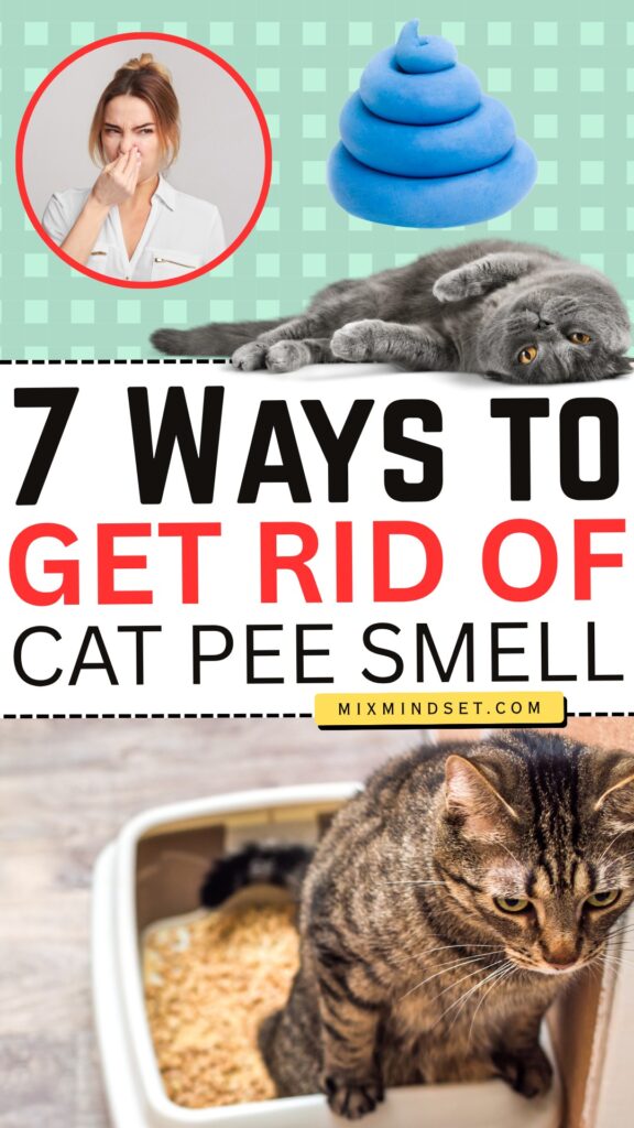 7 Ways to Actually Get Rid of Cat Pee Smell