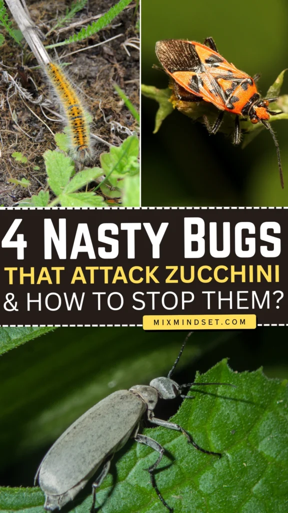 4 Nasty Bugs That Attack Zucchini and How to Stop Them